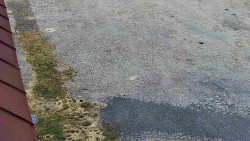 Nástup na běžecké tratě