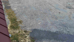 Nástup na běžecké tratě