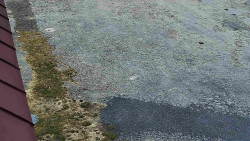 Nástup na běžecké tratě