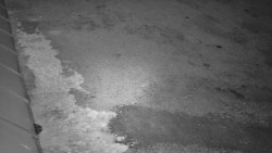 Nástup na běžecké tratě