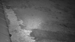 Nástup na běžecké tratě