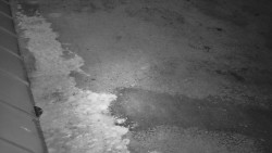 Nástup na běžecké tratě