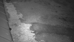 Nástup na běžecké tratě