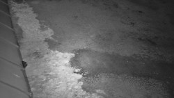 Nástup na běžecké tratě