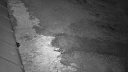 Nástup na běžecké tratě