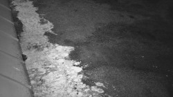 Nástup na běžecké tratě