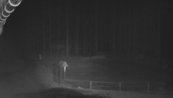 Nástup na běžecké tratě