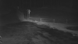 Nástup na běžecké tratě