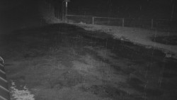 Nástup na běžecké tratě