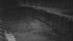 Nástup na běžecké tratě