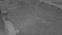 Nástup na běžecké tratě