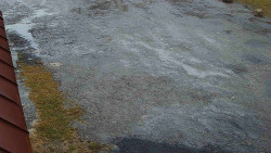 Nástup na běžecké tratě