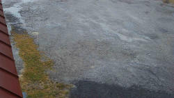 Nástup na běžecké tratě