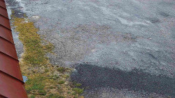 Nástup na běžecké tratě