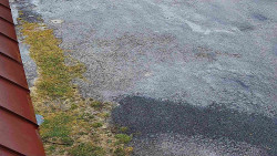 Nástup na běžecké tratě