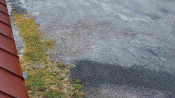 Nástup na běžecké tratě