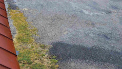 Nástup na běžecké tratě