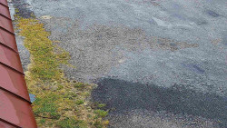 Nástup na běžecké tratě