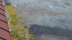 Nástup na běžecké tratě