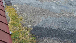 Nástup na běžecké tratě