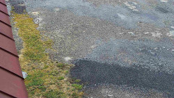 Nástup na běžecké tratě