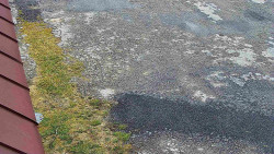 Nástup na běžecké tratě