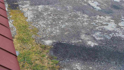 Nástup na běžecké tratě