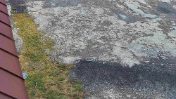 Nástup na běžecké tratě