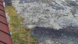 Nástup na běžecké tratě