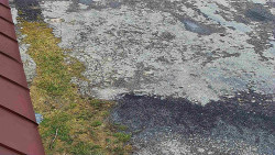 Nástup na běžecké tratě