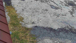 Nástup na běžecké tratě