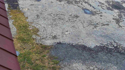 Nástup na běžecké tratě