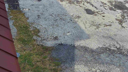 Nástup na běžecké tratě