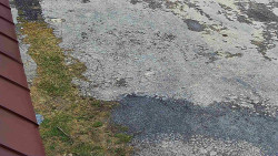 Nástup na běžecké tratě