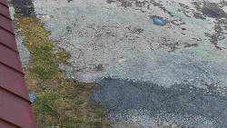 Nástup na běžecké tratě