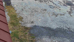 Nástup na běžecké tratě