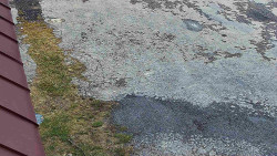 Nástup na běžecké tratě