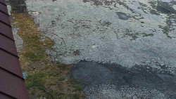 Nástup na běžecké tratě