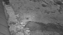 Nástup na běžecké tratě