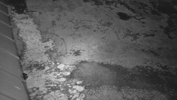 Nástup na běžecké tratě