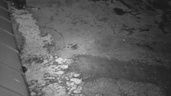 Nástup na běžecké tratě