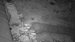 SkiAreál - Horský hotel Vsacký Cáb - Nástup na běžecké tratě - 22.3.2026 v 00:30 SkiAreál - Horský hotel Vsacký Cáb - Nástup na běžecké tratě - 22.3.2026 v 00:30