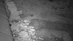 SkiAreál - Horský hotel Vsacký Cáb - Nástup na běžecké tratě - 22.3.2026 v 01:00 SkiAreál - Horský hotel Vsacký Cáb - Nástup na běžecké tratě - 22.3.2026 v 01:00