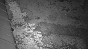 SkiAreál - Horský hotel Vsacký Cáb - Nástup na běžecké tratě - 22.3.2026 v 02:15 SkiAreál - Horský hotel Vsacký Cáb - Nástup na běžecké tratě - 22.3.2026 v 02:15