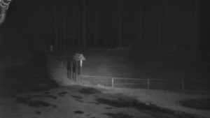 SkiAreál - Horský hotel Vsacký Cáb - Nástup na běžecké tratě - 22.3.2026 v 03:00 SkiAreál - Horský hotel Vsacký Cáb - Nástup na běžecké tratě - 22.3.2026 v 03:00