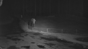 SkiAreál - Horský hotel Vsacký Cáb - Nástup na běžecké tratě - 22.3.2026 v 03:15 SkiAreál - Horský hotel Vsacký Cáb - Nástup na běžecké tratě - 22.3.2026 v 03:15