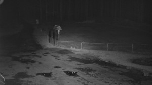 SkiAreál - Horský hotel Vsacký Cáb - Nástup na běžecké tratě - 22.3.2026 v 03:30 SkiAreál - Horský hotel Vsacký Cáb - Nástup na běžecké tratě - 22.3.2026 v 03:30