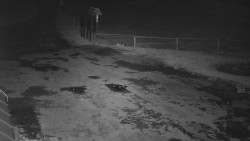 Nástup na běžecké tratě