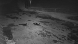 Nástup na běžecké tratě