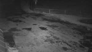 SkiAreál - Horský hotel Vsacký Cáb - Nástup na běžecké tratě - 22.3.2026 v 04:30 SkiAreál - Horský hotel Vsacký Cáb - Nástup na běžecké tratě - 22.3.2026 v 04:30